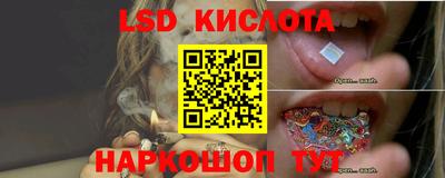 шишки Пыть-Ях