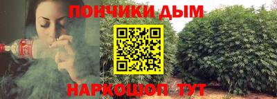 шишки Пыть-Ях