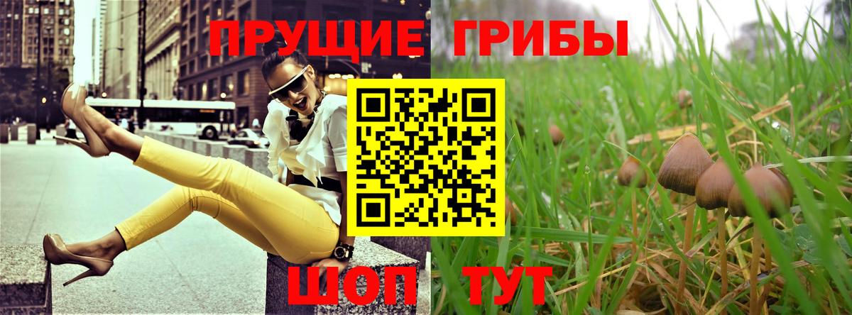 Псилоцибиновые грибы мухоморы Сибай