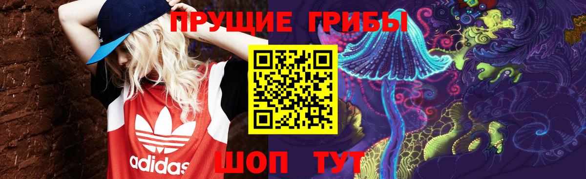 Сибай  Псилоцибиновые грибы Psilocybe  Вход с VPN 